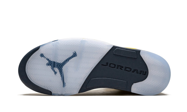 Air Jordan 5 SE "Michigan"